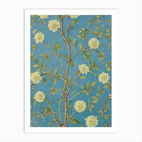 Acacia 1 tree Vintage Botanical Art Print