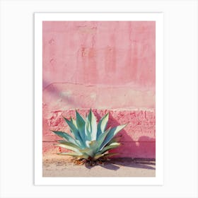 Agave 4 Art Print