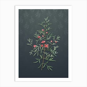 Vintage Boronia Pinnata Botanical on Slate Gray Pattern n.2538 Art Print