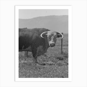 Untitled Photo, Possibly Related To Bull S Head, Cruzen Ranch, Valley County, Idaho By Russell Lee 2 Art Print