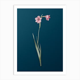 Vintage Sword Lily Botanical Art on Teal Blue Art Print