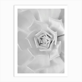 Black And White Flower Art Print