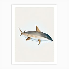 Cookie Cutter Shark Vintage Art Print