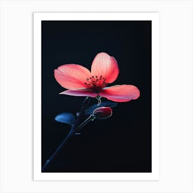 Hibiscus Flower 10 Art Print