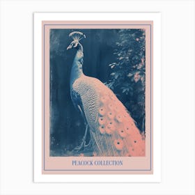 Peacock In The Leaves Cyanotype Inspired 5 Poster Art Print