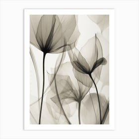 Lotus Flower Art Print