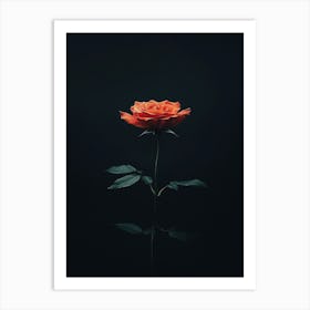 Single Rose On A Black Background Art Print