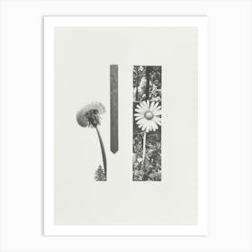 Dandelion Flower Photo Collage 3 Art Print