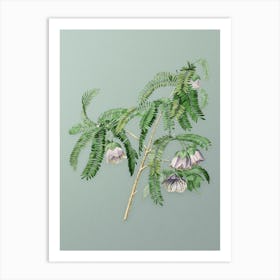 Vintage Spaendoncea Tamarandifolia Botanical Art on Mint Green n.0831 Art Print
