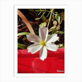 White Flower 4 Art Print