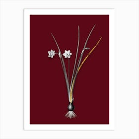 Vintage Daffodil Black and White Gold Leaf Floral Art on Burgundy Red n.0588 Art Print