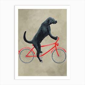 Black Labrador On Bicycle Art Print