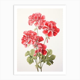 Geraniums Flower Vintage Botanical 1 Art Print