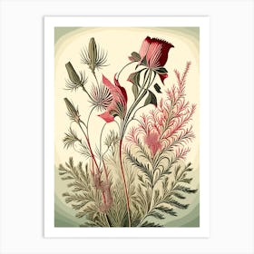 Prairie Smoke Wildflower Vintage Botanical 1 Art Print