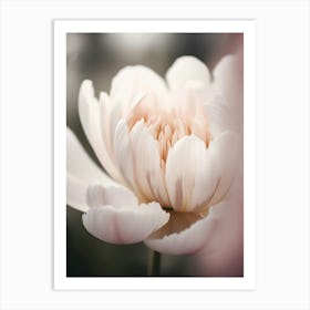 Pastel Nature Macro No 19 Art Print