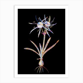 Stained Glass Streambank Spiderlily Mosaic Botanical Illustration on Black n.0180 Art Print