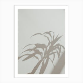 Shadow Of A Plant Art Print