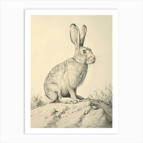Flemish Giant Rabbit Drawing 4 Art Print