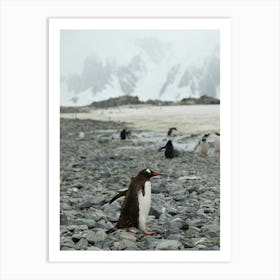 Penguin In The Antarctic Art Print