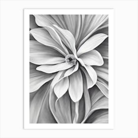 Statice B&W Pencil 3 Flower Art Print