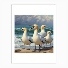 Gannets On The Beach Art Print