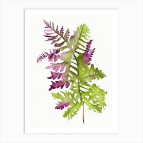 Grape Fern Wildflower Watercolour 1 Art Print