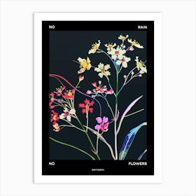 No Rain No Flowers Poster Babys Breath 4 Art Print