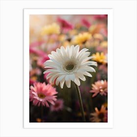 Gerbera Daisy 2 Art Print