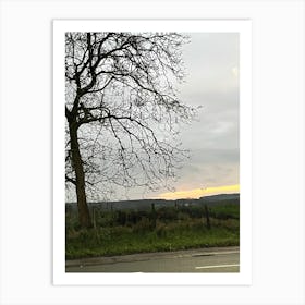 Lone Tree Art Print