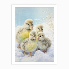 Icy Ducklings In The Snow Pencil Illustration 2 Art Print