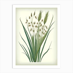 Scouring Rush Wildflower Vintage Botanical Art Print