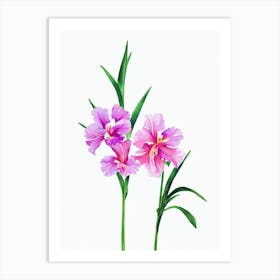 Gladioli Watercolour Flower Art Print