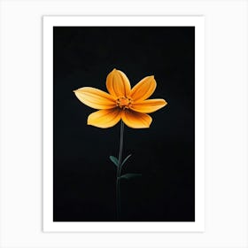 Single Yellow Flower On Black Background 7 Art Print