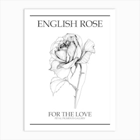 English Rose Black And White Line Drawing 5 Poster Art Print