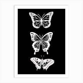 Three Butterflies On A Black Background Art Print