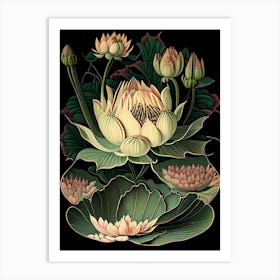 Water Lily 1 Floral Botanical Vintage Poster Flower Art Print