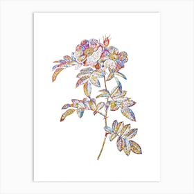 Stained Glass Shining Rosa Lucida Mosaic Botanical Illustration on White n.0252 Art Print