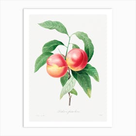 Peaches On A Branch, Pierre Joseph Redouté Art Print