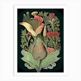 Beard Tongue Wildflower Vintage Botanical 2 Art Print
