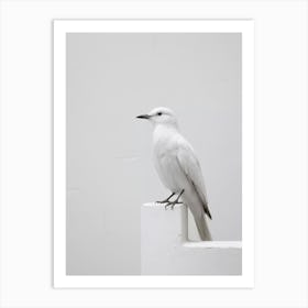 White Bird Perched On Wall 1 Art Print