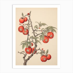 Ume Japanese Plum 1 Vintage Japanese Botanical Art Print
