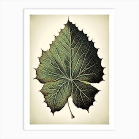 Sycamore Leaf Vintage Botanical 5 Art Print