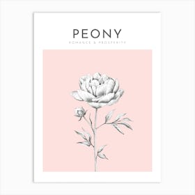 Peony Print Modern Flower Poster Bamber Prints Art Print