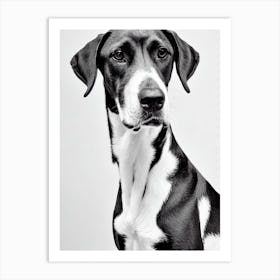 Black And Tan Coonhound B&W Pencil Dog Art Print