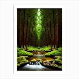 Forest Stream 1 Art Print