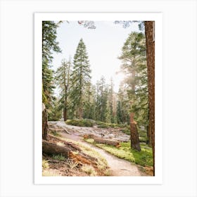 National Parks Yosemite Art Print