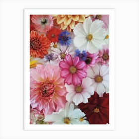 Summer Flower Collection Art Print
