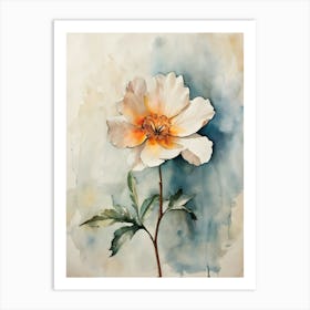 Peony 12 Art Print