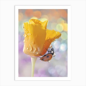 Ladybug On A Flower Art Print