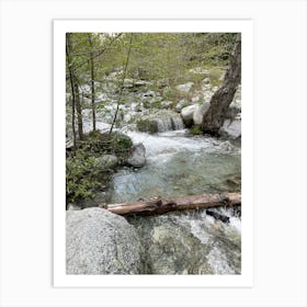 Stream In The Woods 5 Art Print